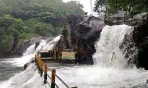 மணிமுத்தாறு அருவியில் வெள்ளப்பெருக்கு : சுற்றுலாப் பயணிகள் குளிக்கத் தடை!